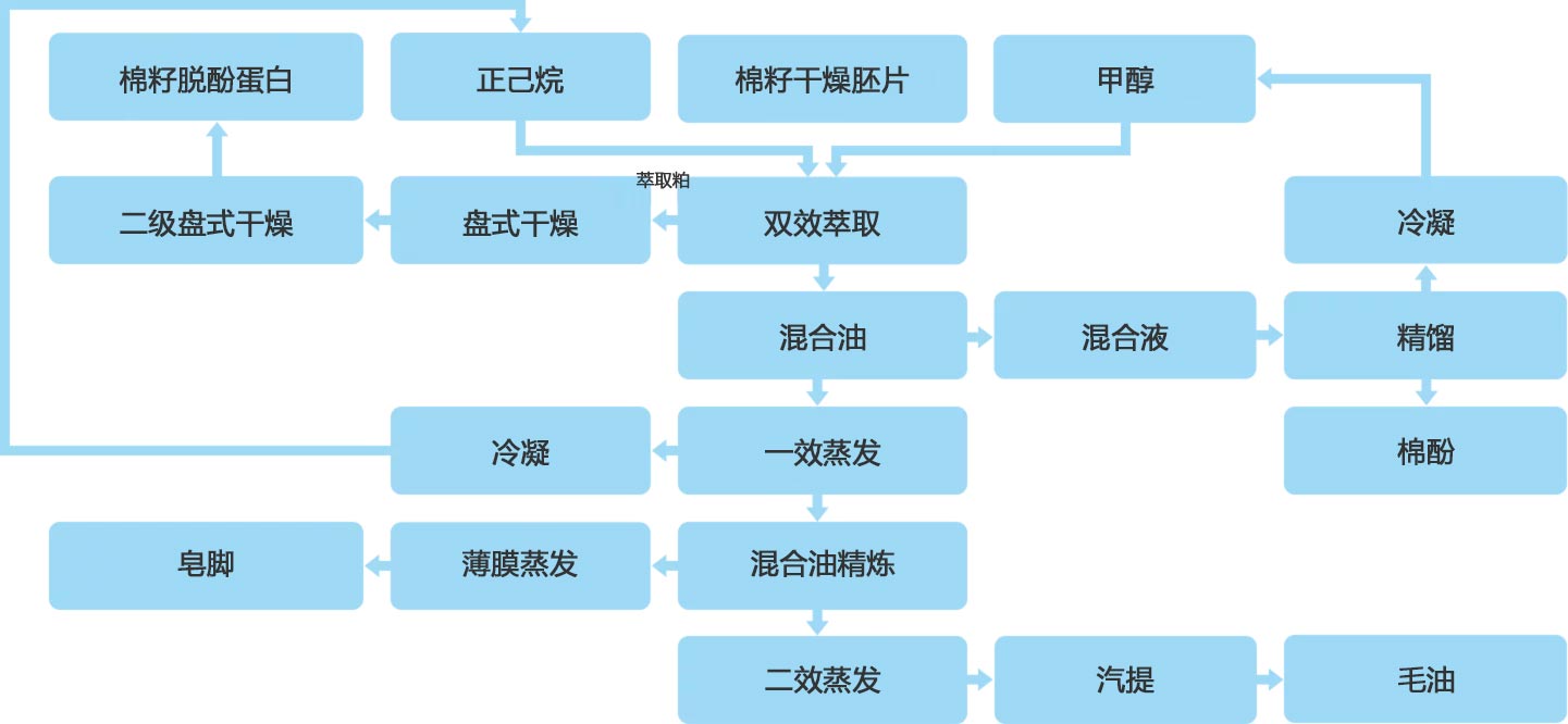 棉籽脱酚蛋白完美体育(中国)官方网站-让运动改变生活
流程